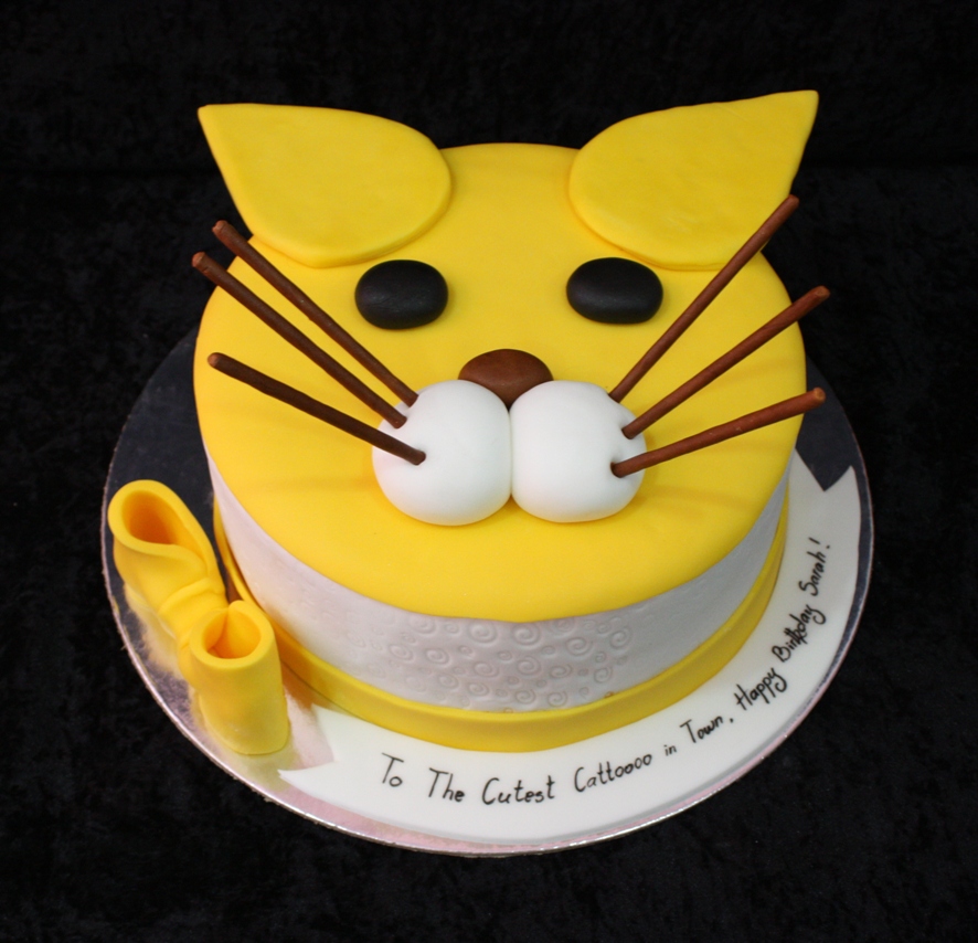 easy cat birthday cakes