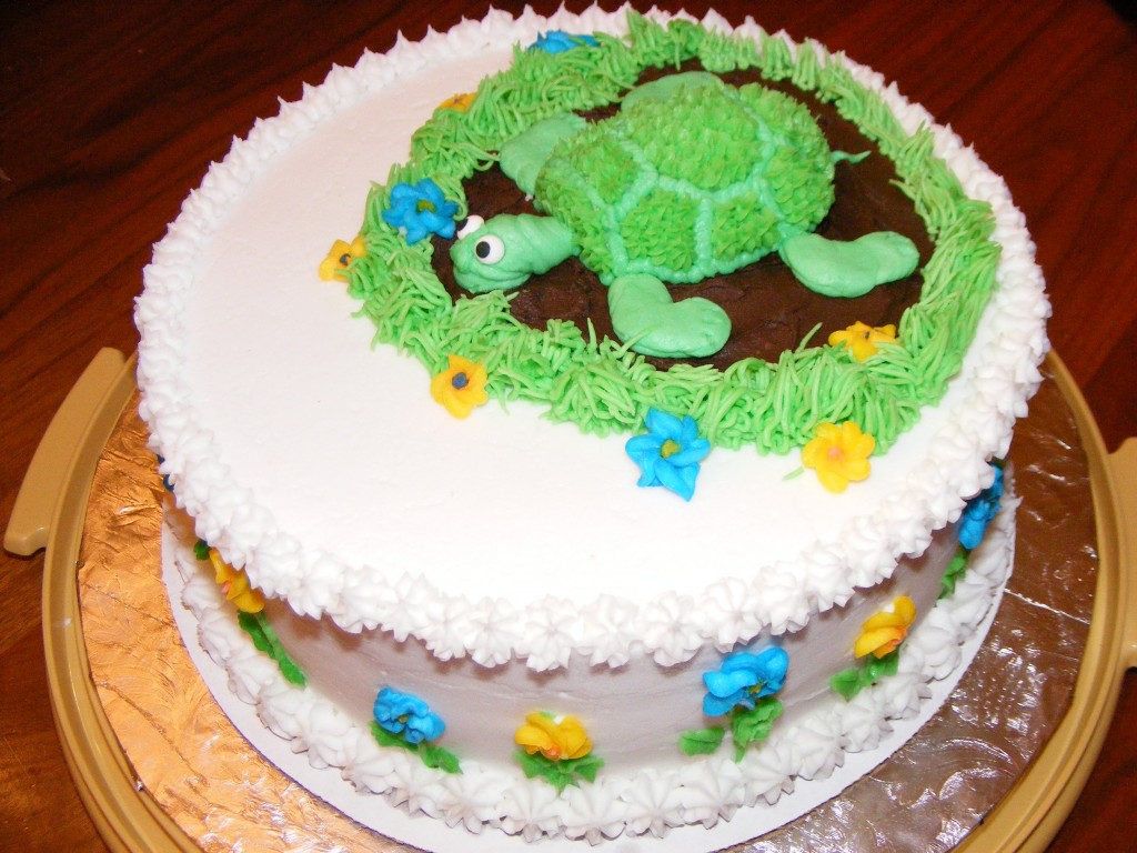 turtle-cake-decoration-ideas-little-birthday-cakes